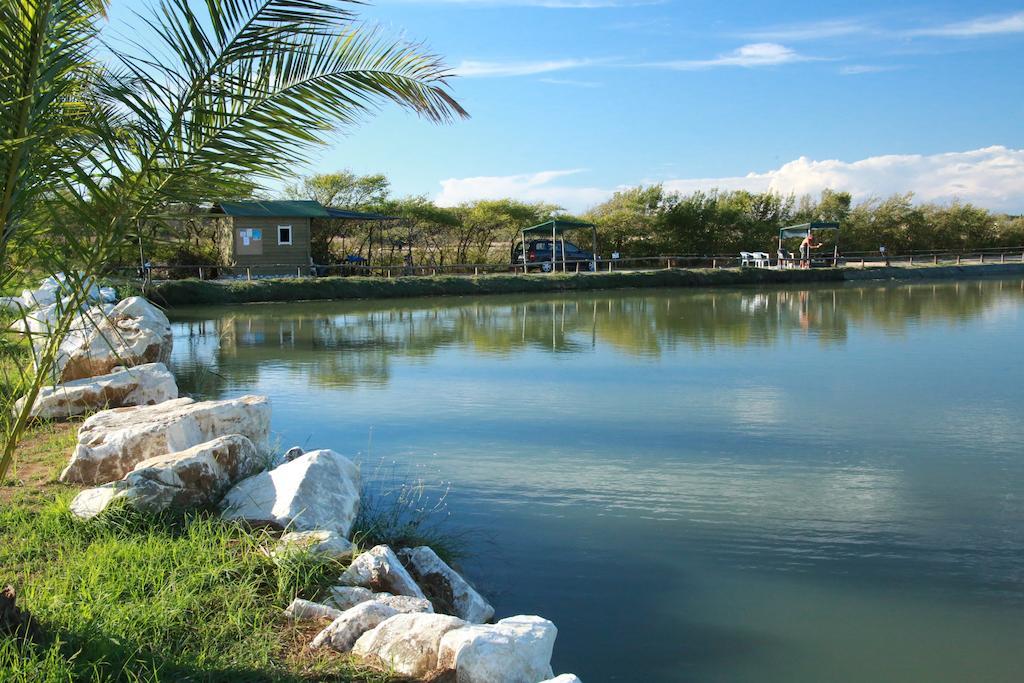 Camping Village Free Time มารินา ดิ บิบโบนา ภายนอก รูปภาพ